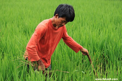 μŮͬ޵ú,μŮͬ޵ú