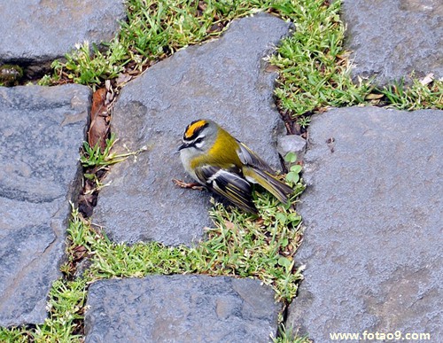 μûд·˯Ա,μûд·˯Ա