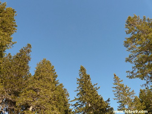 μѳȻǺͺ,μѳȻǺͺ