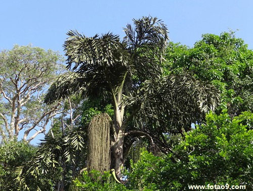 μƵһסܶ,μƵһסܶ