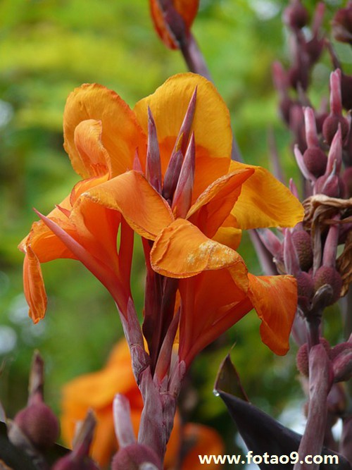 梦见自己老公不穿衣服,解梦梦见自己老公不穿衣服 梦见自己老公不穿衣服,解梦梦见自己老公不穿衣服