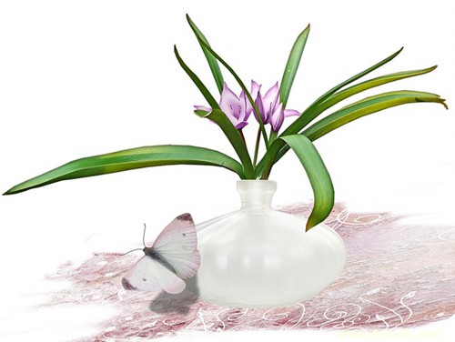 μֿʼȫ̴,μֿʼȫ̴