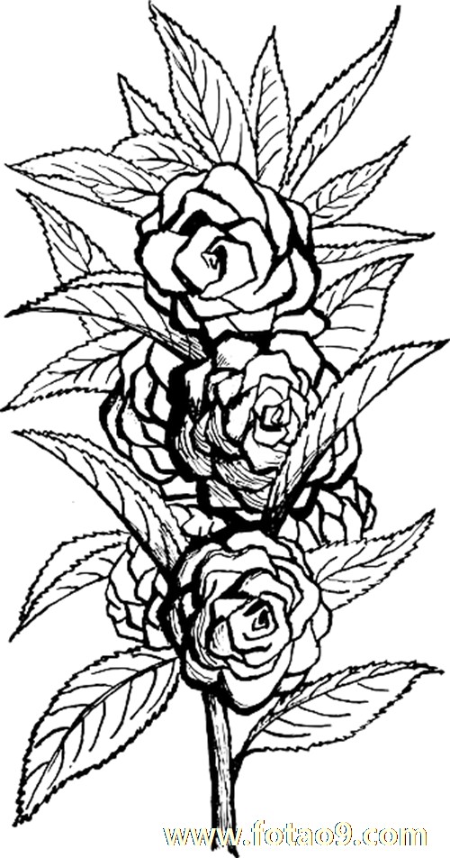 梦见回故乡过中秋,解梦梦见回故乡过中秋 梦见回故乡过中秋,解梦梦见回故乡过中秋