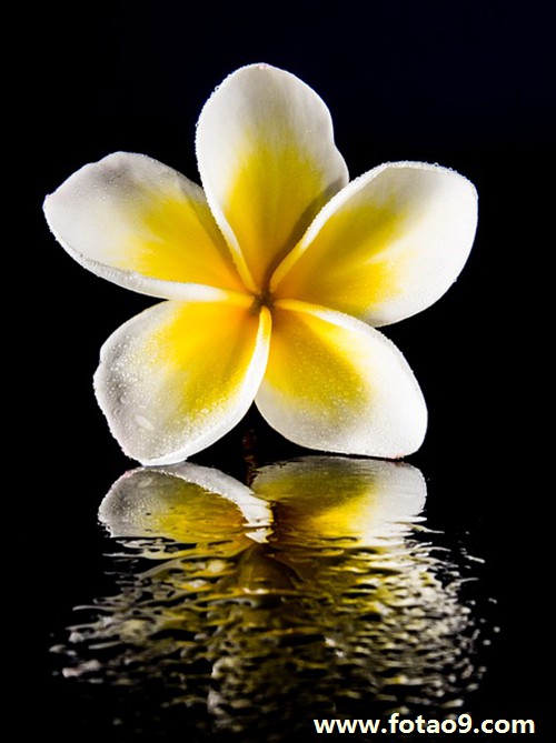 梦见自己衣服都脏了,解梦梦见自己衣服都脏了 梦见自己衣服都脏了,解梦梦见自己衣服都脏了