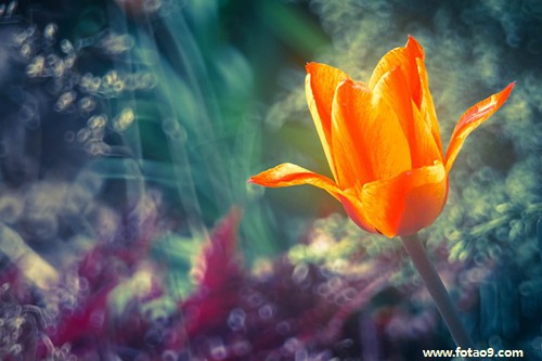 梦见大火亲人小孩,解梦梦见大火亲人小孩 梦见大火亲人小孩,解梦梦见大火亲人小孩