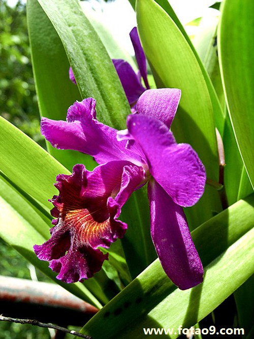 梦见跳悬崖安全落地,解梦梦见跳悬崖安全落地 梦见跳悬崖安全落地,解梦梦见跳悬崖安全落地