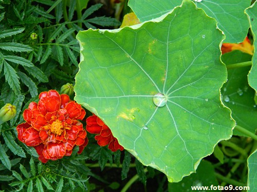 μ˳ԴբзȾ,μ˳ԴբзȾ