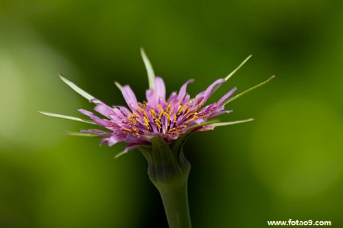 梦见已故亲人给我一个红苹果,解梦梦见已故亲人给我一个红苹果 梦见已故亲人给我一个红苹果,解梦梦见已故亲人给我一个红苹果