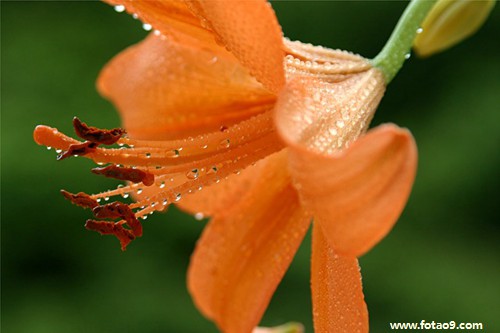 μͲϲһɽ,μͲϲһɽ