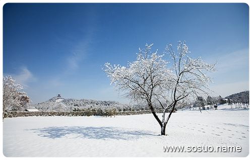 μԼڰ,μԼڰ