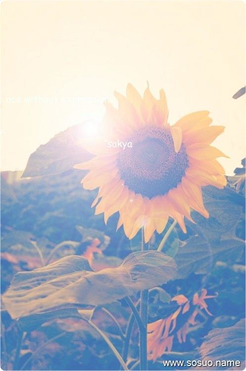 μԼŮ˵,μԼŮ˵