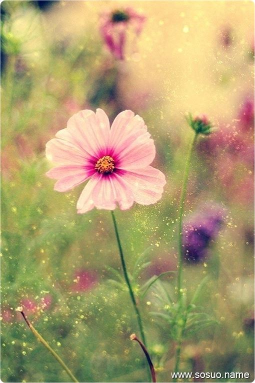 μ˴ľЬ,μ˴ľЬ