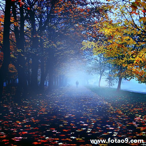 μȡǮ,μȡǮ