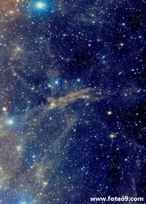 μʵ,μʵ