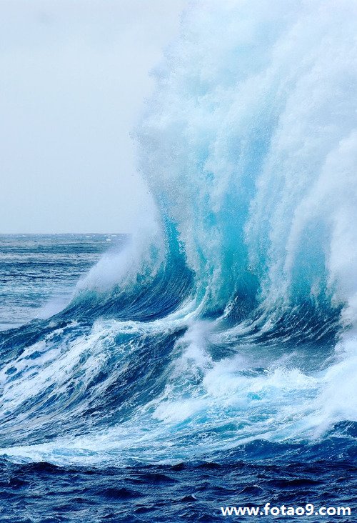 μʪ˷ֽ,μʪ˷ֽ