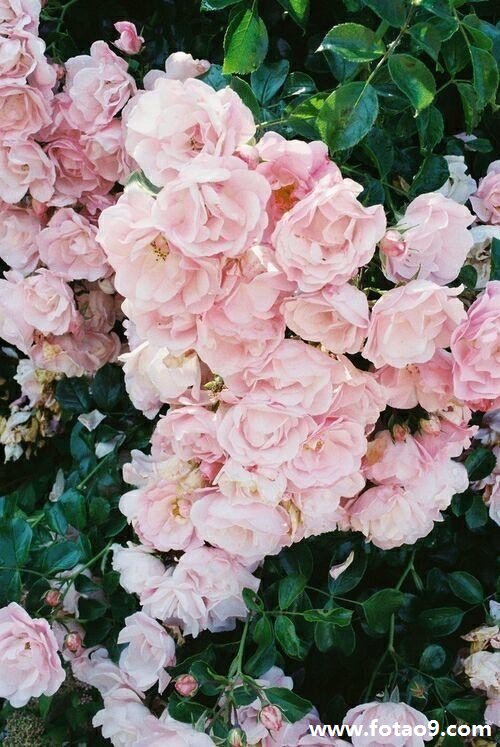 μѹ·,μѹ·
