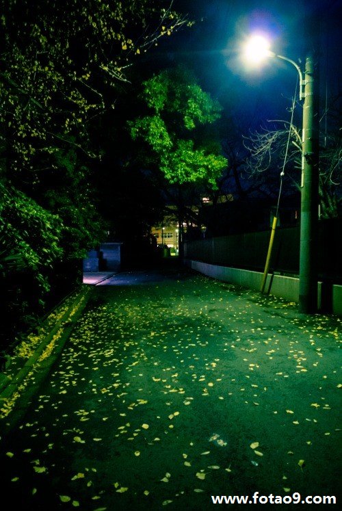 μ쵼Ҵ绰Լ̸,μ쵼Ҵ绰Լ̸