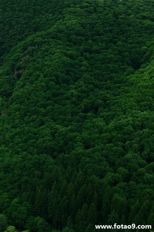 μħ,μħ