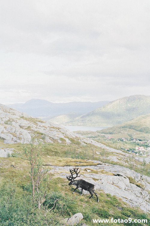 μһɽ,μһɽ