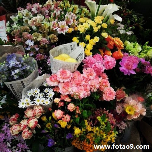 μǮкüһٵǮ,μǮкüһٵǮ