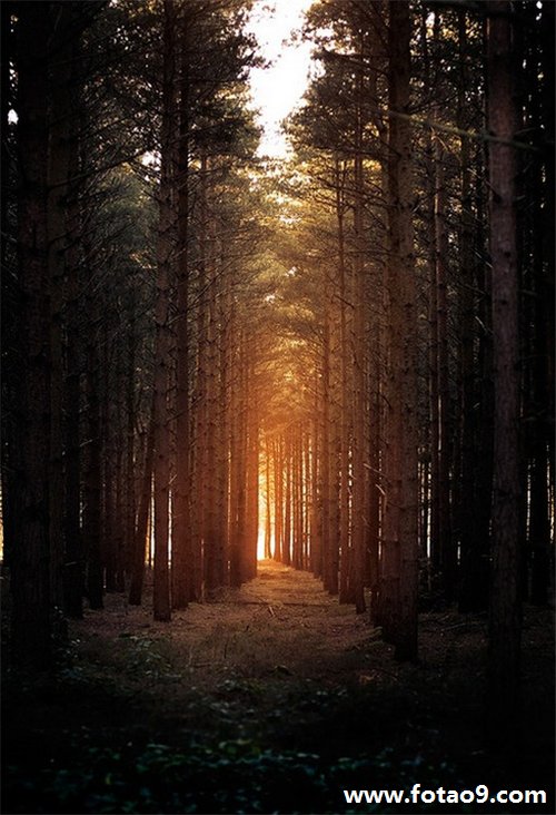 μȥһֱڰ,μȥһֱڰ