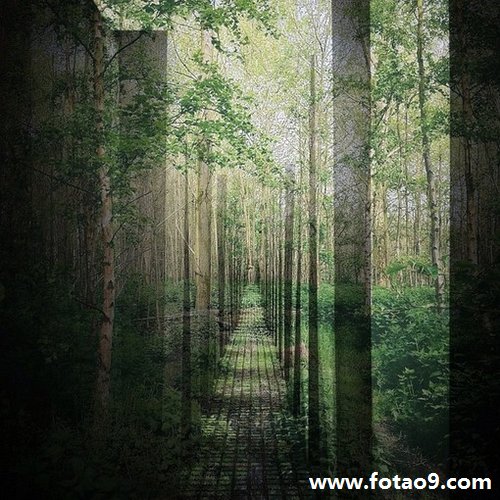 μɩӲ,μɩӲ
