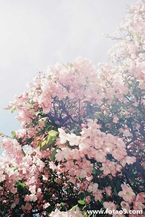 μH˵Mˮe޵ú܂,μH˵Mˮe޵ú܂