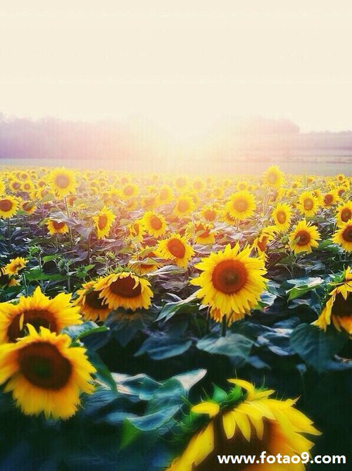 μԼӳ϶ȥ,μԼӳ϶ȥ