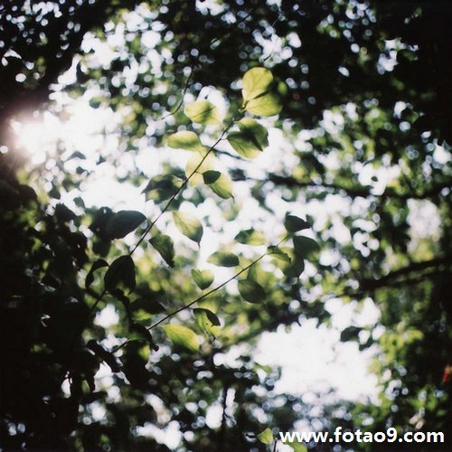 μѼ޲,μѼ޲