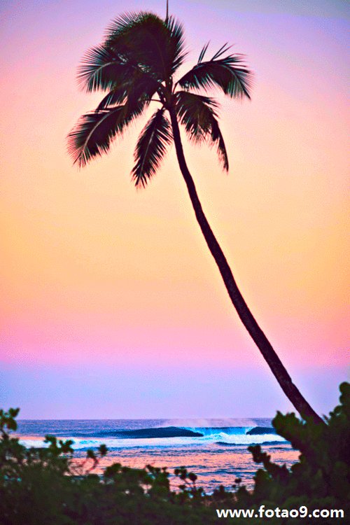 μͷ˺ܶĶ,μͷ˺ܶĶ