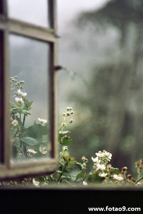 μȥ˲,μȥ˲