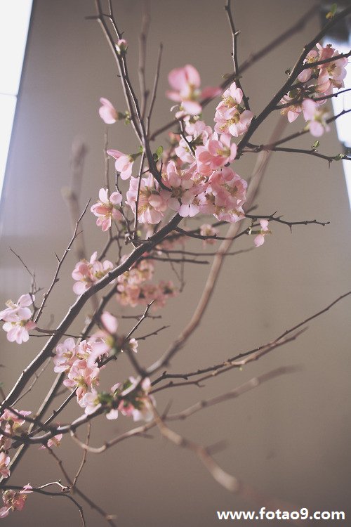 μҼ,μҼ