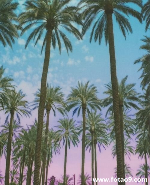 μһȺһֻ,μһȺһֻ