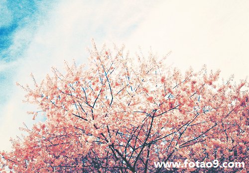 μһ糱,μһ糱