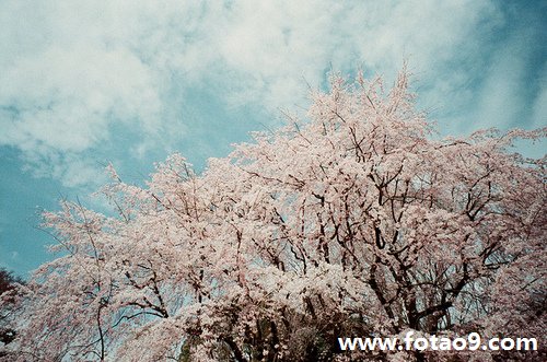 μѹʵһ,μѹʵһ