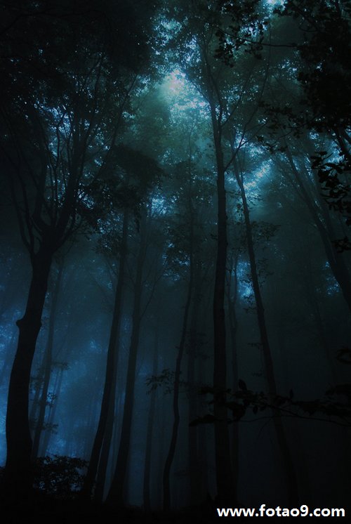 μյٿǮ,μյٿǮ
