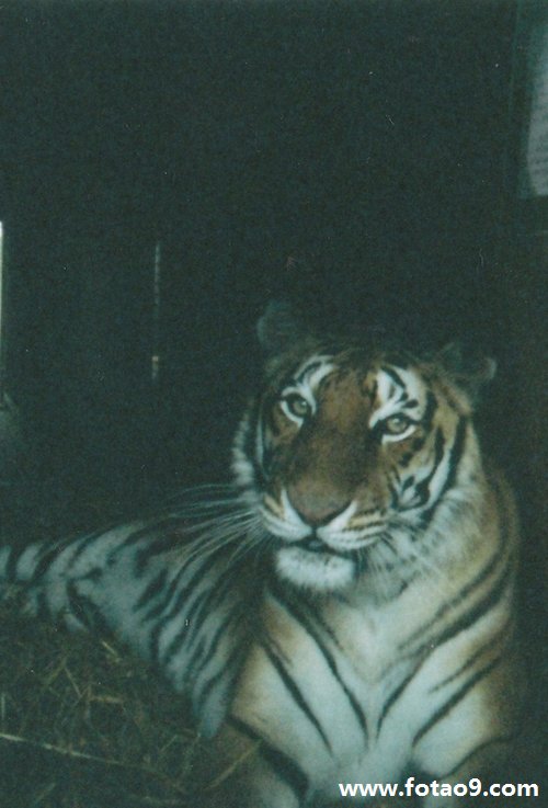 μѧûѧѻû·,μѧûѧѻû·