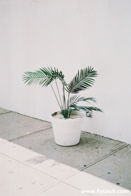 μϲ˾ܾԼǣ,μϲ˾ܾԼǣ