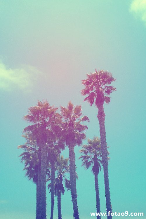 μһС,μһС