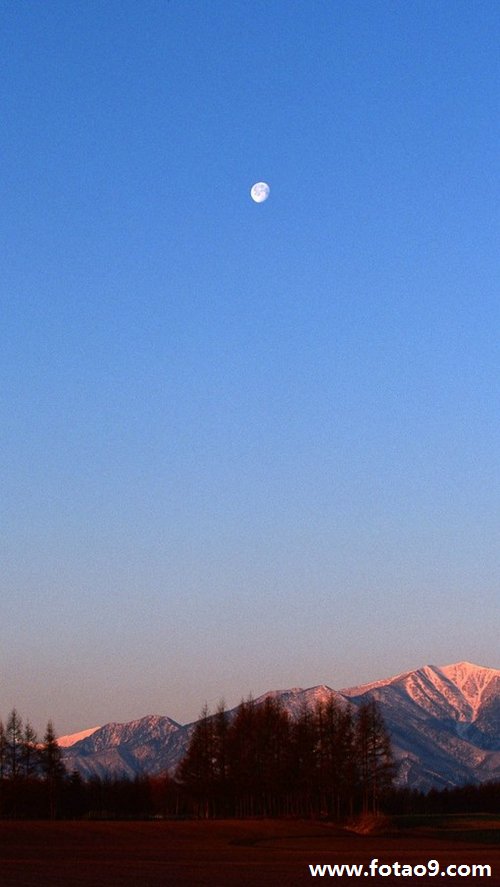 μʵ,μʵ