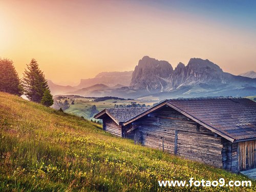 孕妇梦见黑白条纹蛇,解梦孕妇梦见黑白条纹蛇 孕妇梦见黑白条纹蛇,解梦孕妇梦见黑白条纹蛇