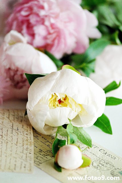 梦见逃亡到深山勾手指交友,解梦梦见逃亡到深山勾手指交友 梦见逃亡到深山勾手指交友,解梦梦见逃亡到深山勾手指交友