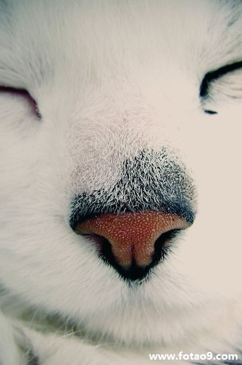 μˮ·,μˮ·