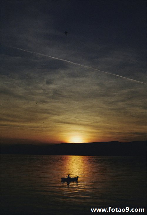 μҰϲ,μҰϲ