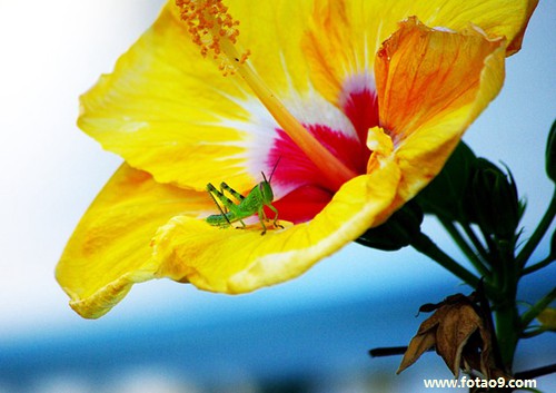 μľ׮ӽˮ,μľ׮ӽˮ