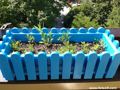 梦见黑狗守家,解梦梦见黑狗守家 梦见黑狗守家,解梦梦见黑狗守家