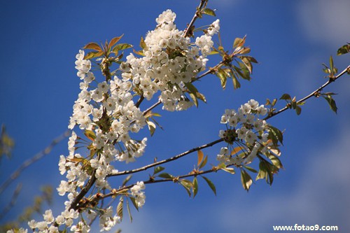 梦见自己差点中了彩票,解梦梦见自己差点中了彩票 梦见自己差点中了彩票,解梦梦见自己差点中了彩票