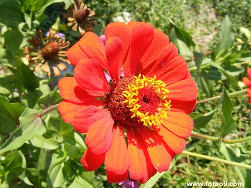 梦见父亲玩扑克,解梦梦见父亲玩扑克 梦见父亲玩扑克,解梦梦见父亲玩扑克