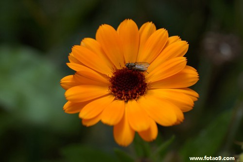 梦见绸缎对联,解梦梦见绸缎对联 梦见绸缎对联,解梦梦见绸缎对联