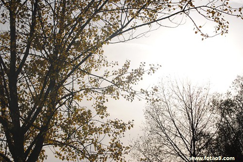 梦见佛像脑袋掉,解梦梦见佛像脑袋掉 梦见佛像脑袋掉,解梦梦见佛像脑袋掉